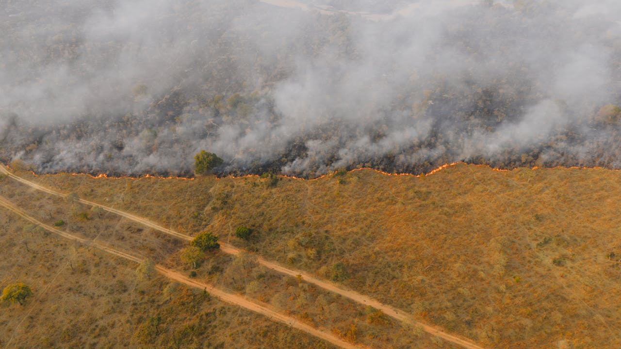 services-02 An aerial shot showing a wildfire burning through grasslands in South Africa, with smoke rising above the landscape.
