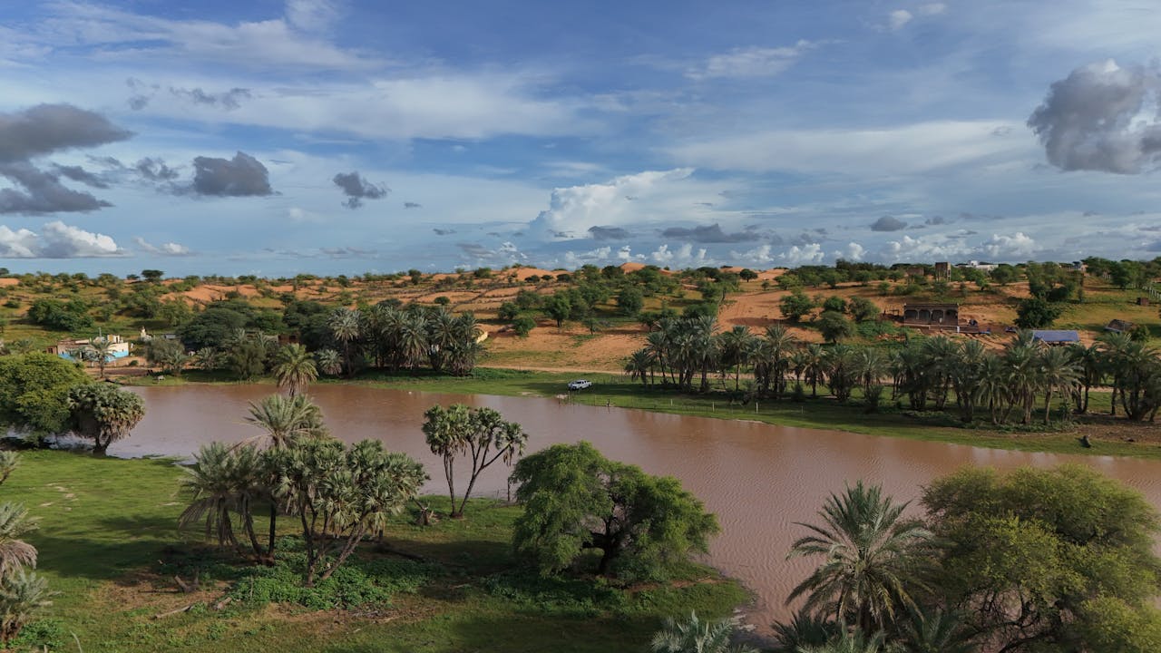 services-01 A picturesque river landscape with palm trees and desert dunes under a dramatic sky.